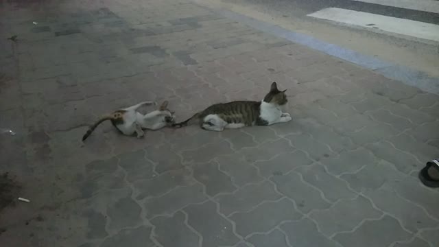 When I first meet her, KKAMI