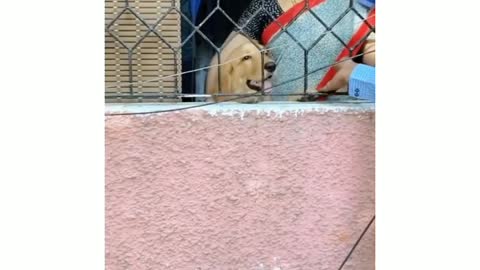 Mom and Dog ♥️