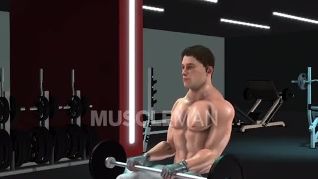 Work out for legs simple