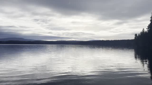 Early Morning Serenity – Timothy Lake – Mount Hood National Forest – Oregon – 4K