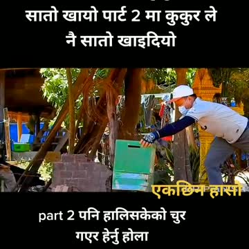 Dog has run away after man put box on him