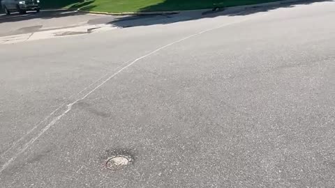 Man Struggles To Remove Rock From Under Car