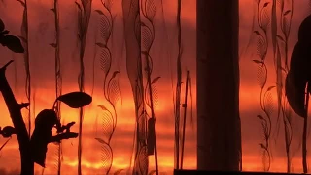 beautiful sunset from the window