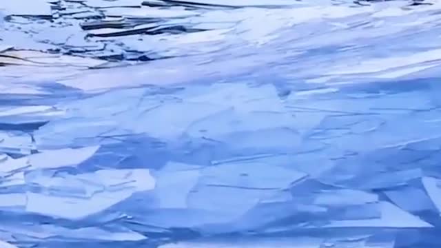 The earth need your attention, Global climate