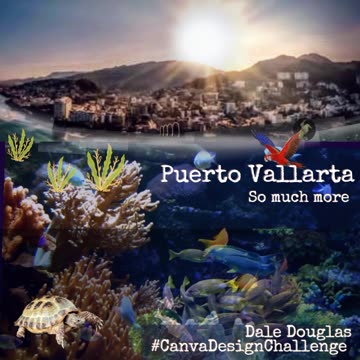 My Puerto Vallarta