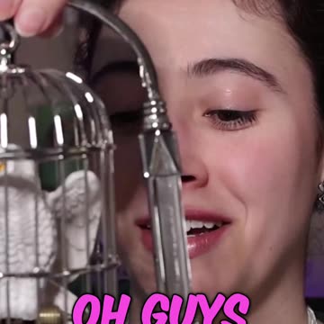 Assembling My New Hedwig Cage! #harrypotter #wizardingworld #noblecollection #hedwig