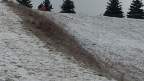 Walking in the winter wonderland