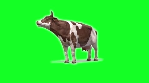 cow green screen