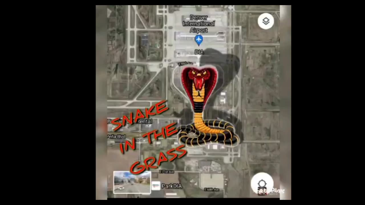 SNAKES EVERYWHERE at DENVER INTERNATIONAL AIRPORT...!!!BEWARE....!!!