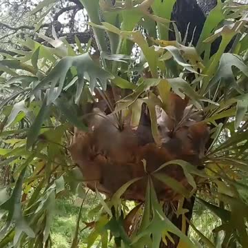 I have no idea what this is