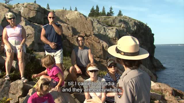 Acadia Always - The Story of Acadia National Park