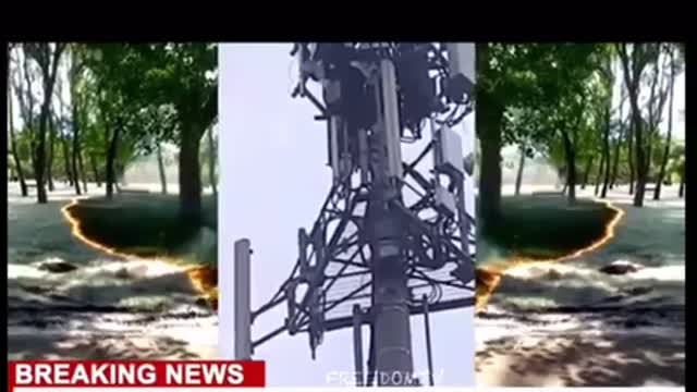 Patriot birds and based lady take out five g tower and shoots at workers .