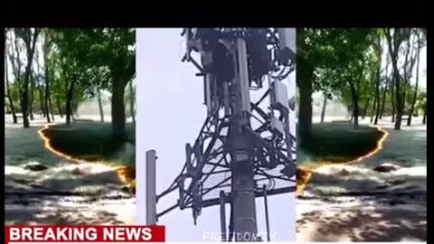 Patriot birds and based lady take out five g tower and shoots at workers .