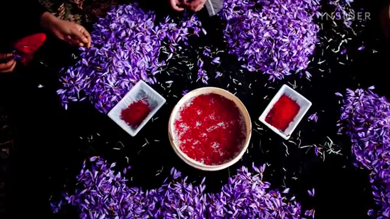 Why_Saffron_Is_The_World's_Most_Expensive_Spice(360p)