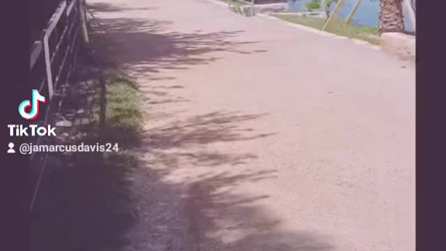 A Glimpse Of Austin Texas