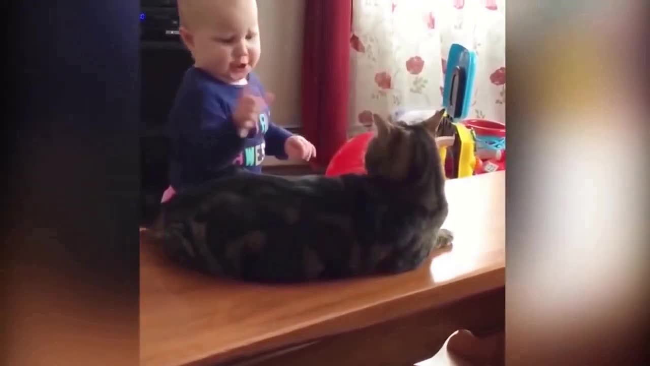 Baby bites cats ears, and then commands it