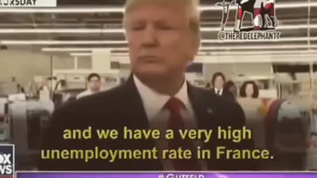 Donald Trump Said This To Reporter From France!