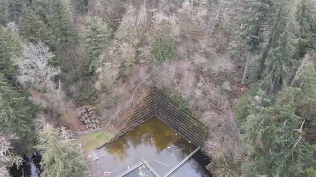 Quarry Pool - Tenino WA city park - Mavic Air 2 POV