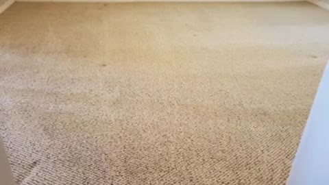 Carpet Cleaning Restoration Yucaipa