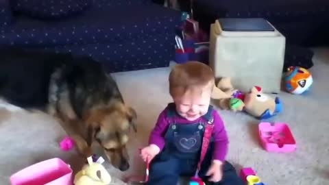 Babies laughing With Dogs