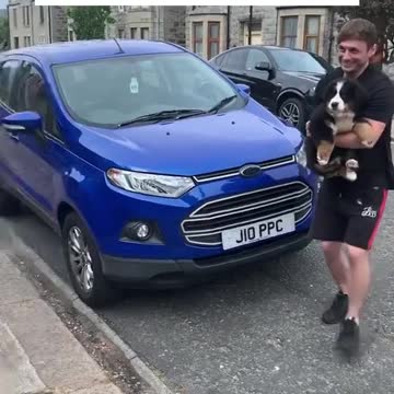 WAit For His Reaction | Adorable Pets