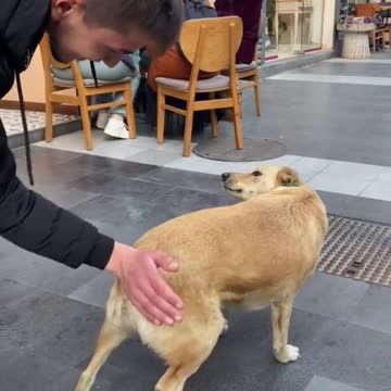 funny|prank|jokes|funny jokes|dad jokes|funny memes|funny video|fun|laughing|funny animal|knock