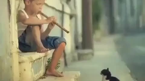 Baby flute for cats