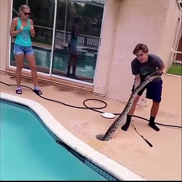 He Found a Large Snake hiding at Home Swimming Pool