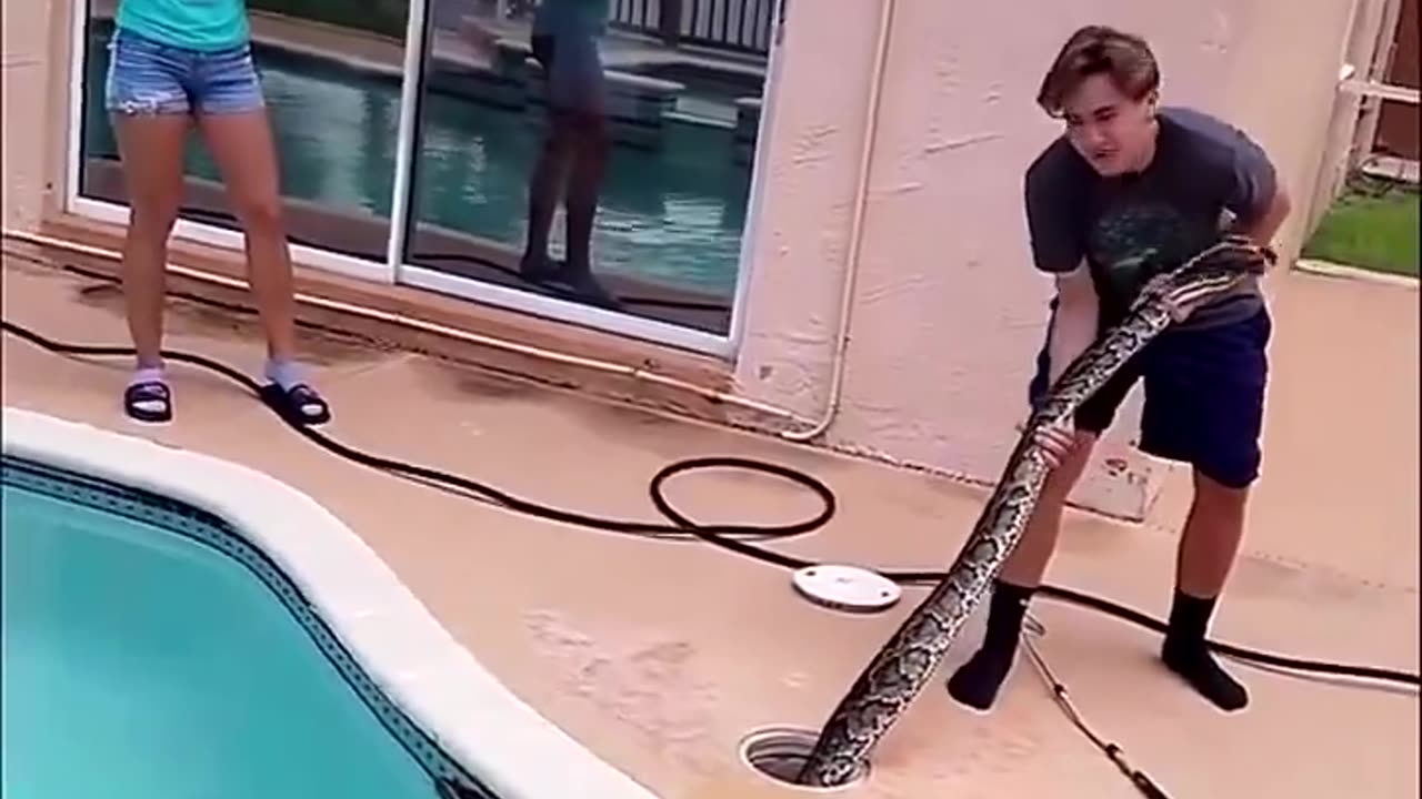 He Found a Large Snake hiding at Home Swimming Pool