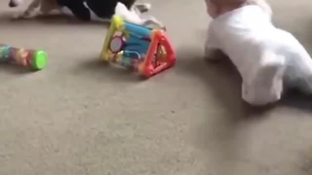 Mi bebé jugando con su mascota