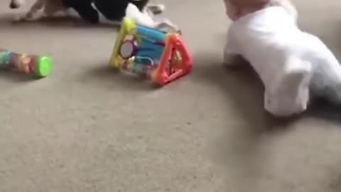 Mi bebé jugando con su mascota