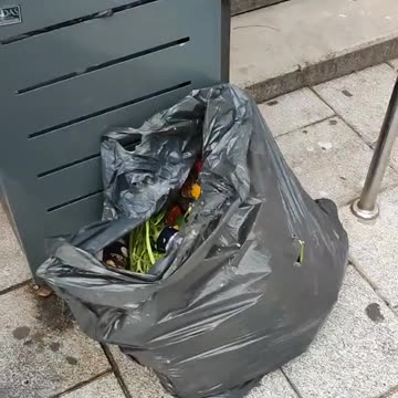 More about the terrible fuss Libtards cause over Alexei Navalny's death