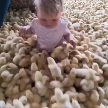 Good morning, gardeners! 👍