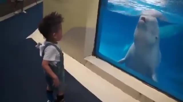 😂😂Funny Dolphin Play with kids😂😂