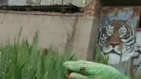 Watch this Beautiful Snake Made by Hand ||First time you will.surprised