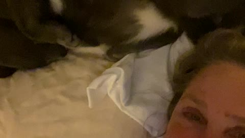 The sacrifice is a cat hair in the eye sometimes