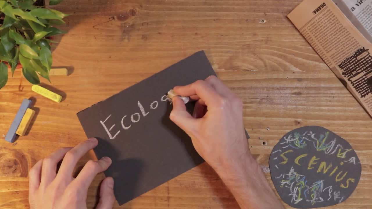 Show Your Work by Austin Kleon (Summary, Key Ideas, & Book Review)