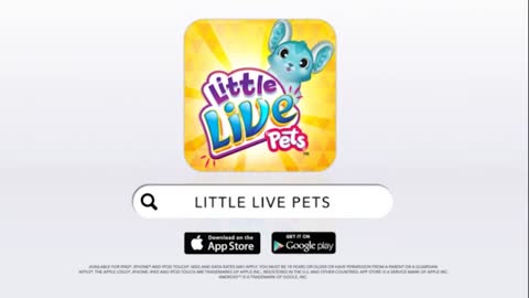 Little live pets