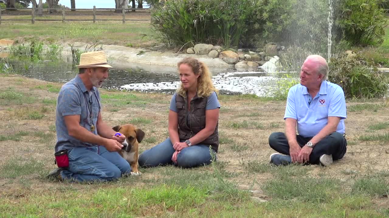 Season 5, Episode 2: Featuring The Pet Psychic, Laura Stinchfield