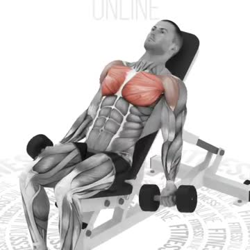 Best Chest Workout Exercises