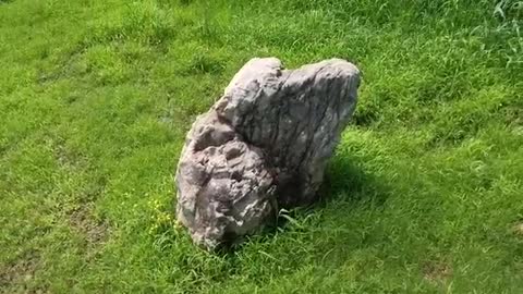 What does this stone look like?