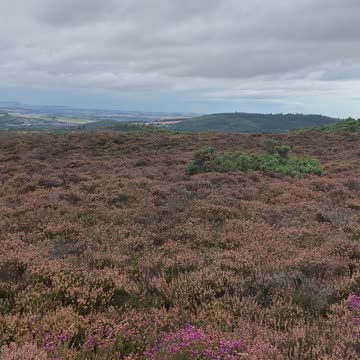 Sept 2024 Brimmond Hill 2