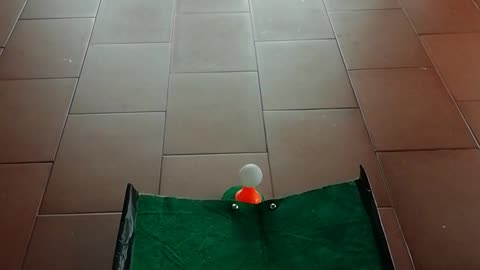 Pug Plays Mini Putt