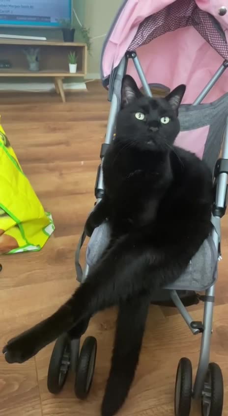 When will tea and crumpets be served 😂