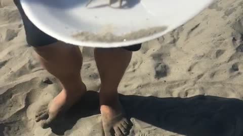 Crab Beaches