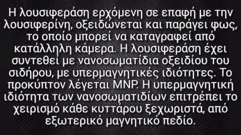 Μετάλλαξη μέσω Μαγνητικά Τροποποιημένης Λουσιφεράσης