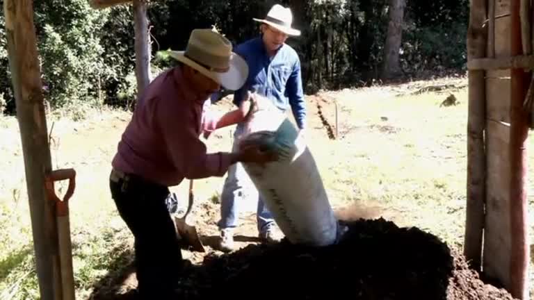 New organic fertilizer helps reforestation of Monarch Butterflies’ winter retreat