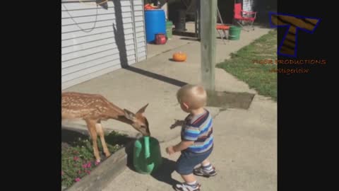 Cute babies reactions - Watch and try to stop laughing