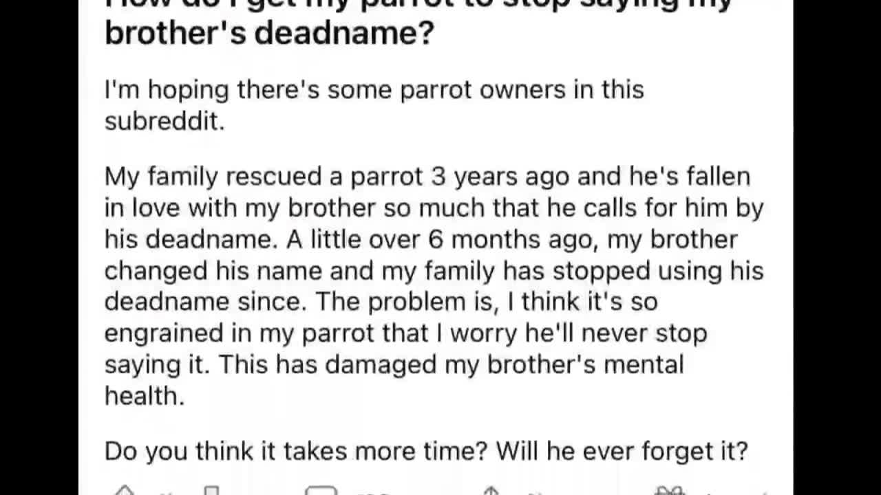 parrot @ transgender changes