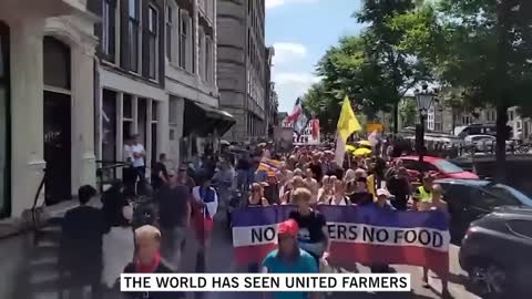 WHOLE WORLD supports the Dutch farmers today_ ‘No farmers, no food’